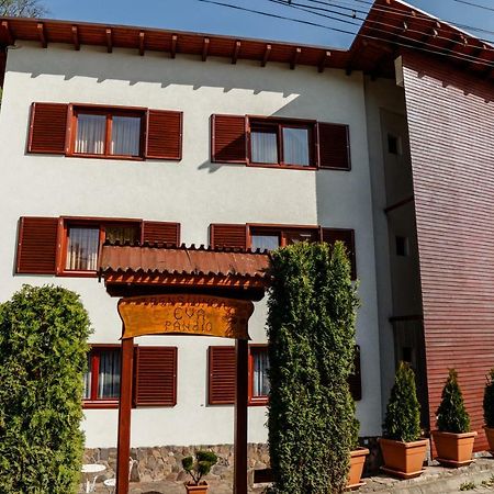 Pensiunea Eva Bed & Breakfast Sovata Ngoại thất bức ảnh
