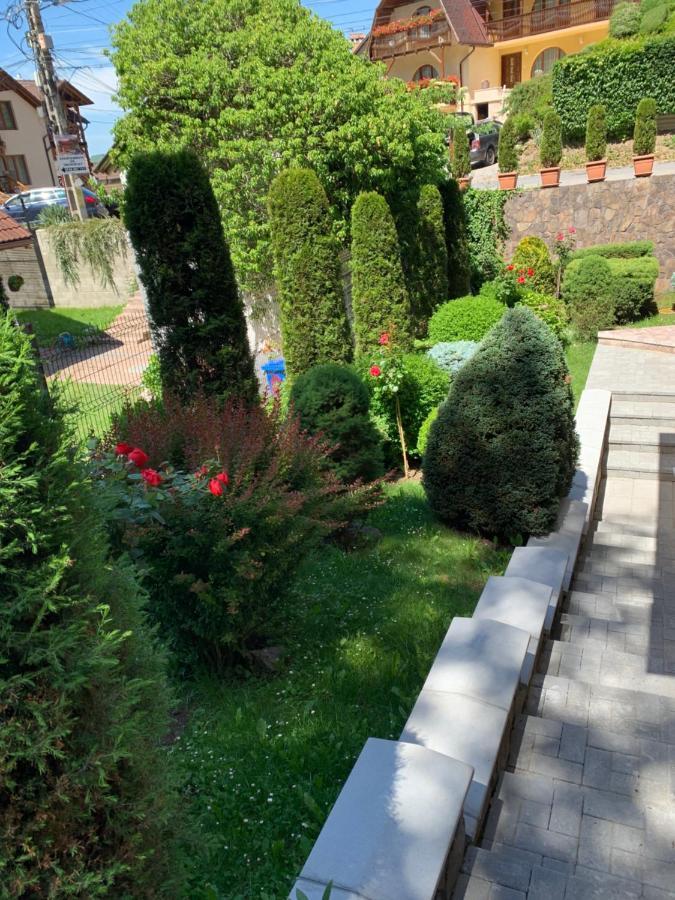 Pensiunea Eva Bed & Breakfast Sovata Ngoại thất bức ảnh