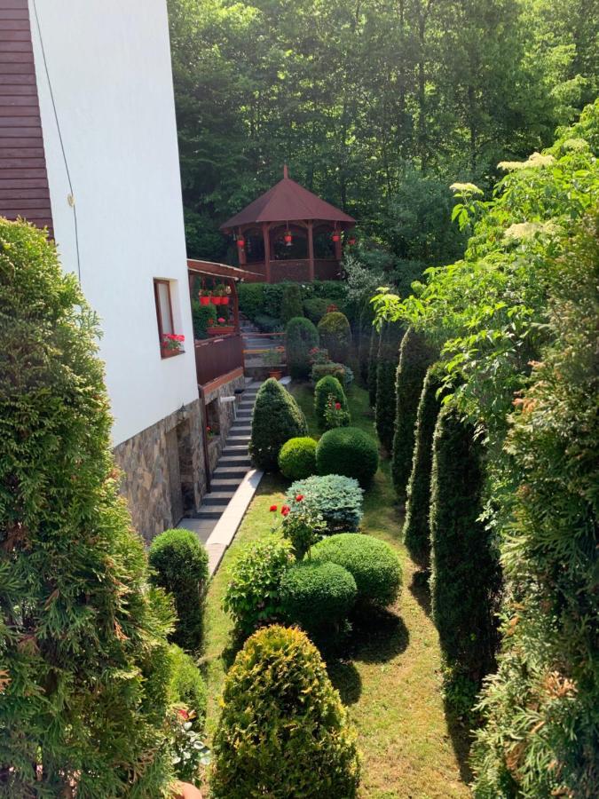 Pensiunea Eva Bed & Breakfast Sovata Ngoại thất bức ảnh