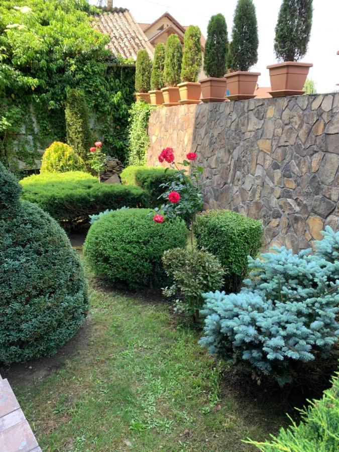 Pensiunea Eva Bed & Breakfast Sovata Ngoại thất bức ảnh