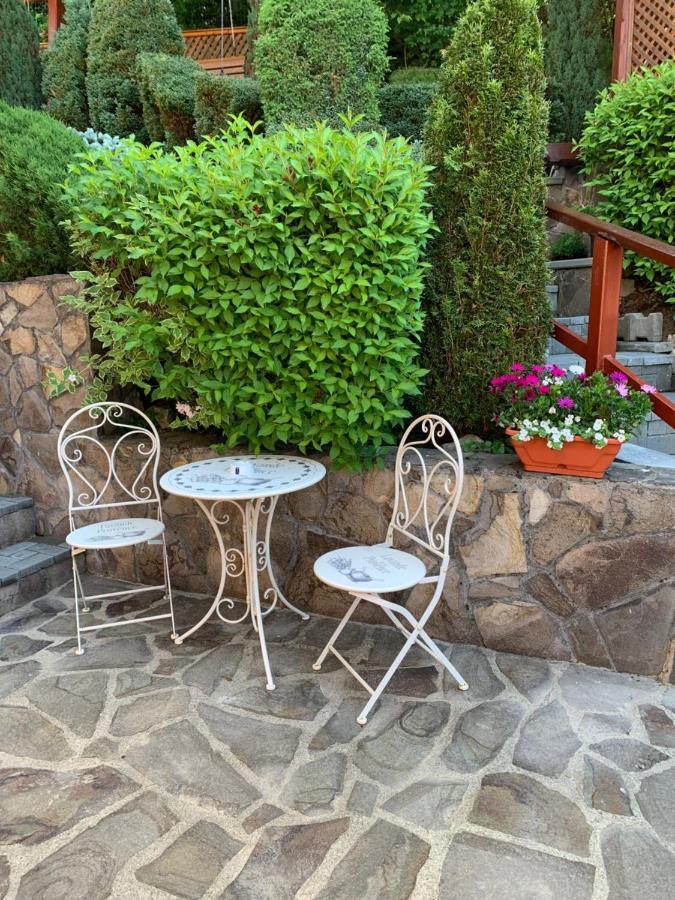 Pensiunea Eva Bed & Breakfast Sovata Ngoại thất bức ảnh