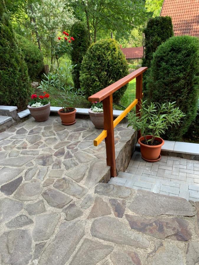 Pensiunea Eva Bed & Breakfast Sovata Ngoại thất bức ảnh