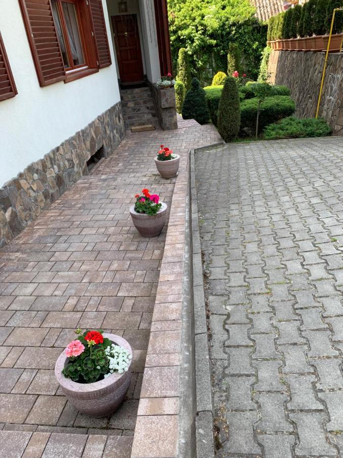 Pensiunea Eva Bed & Breakfast Sovata Ngoại thất bức ảnh