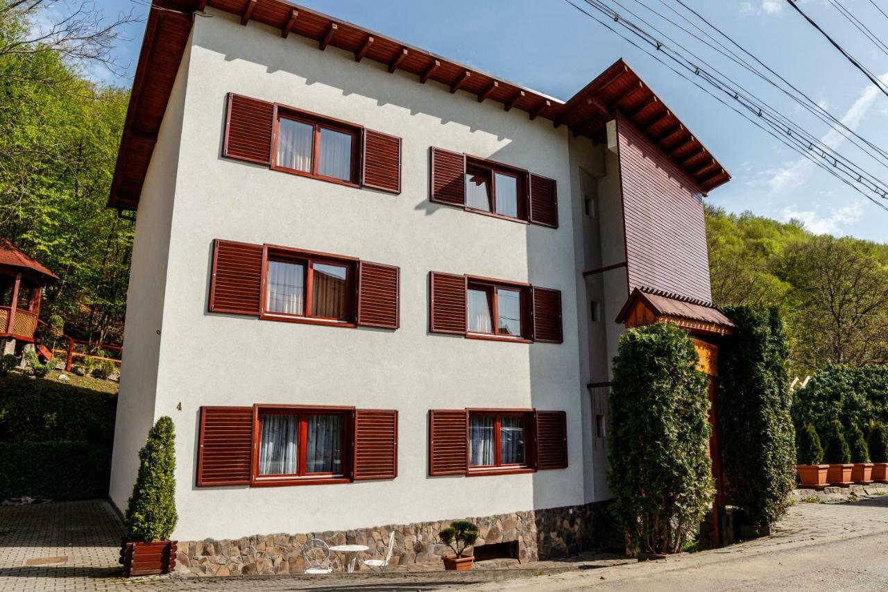 Pensiunea Eva Bed & Breakfast Sovata Ngoại thất bức ảnh